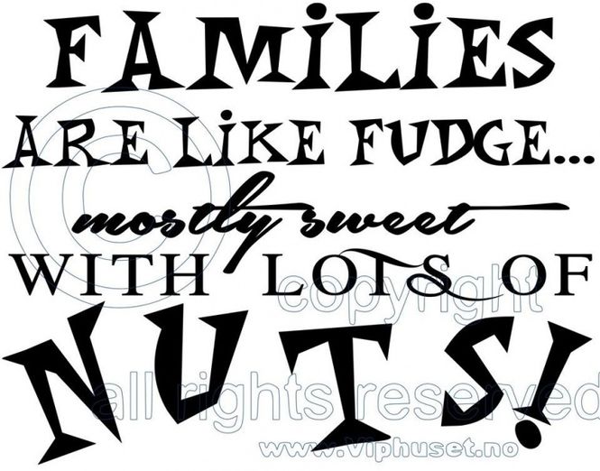 Hovedbilde Families like fudge