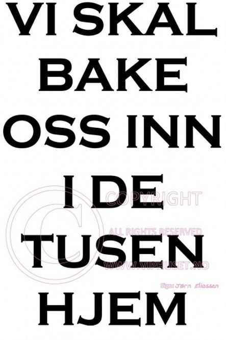 Hovedbilde Vi skal bake oss inn i de ...