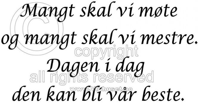 Hovedbilde Mangt skal vi møte