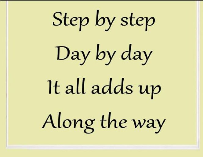 Hovedbilde Step by step 2 