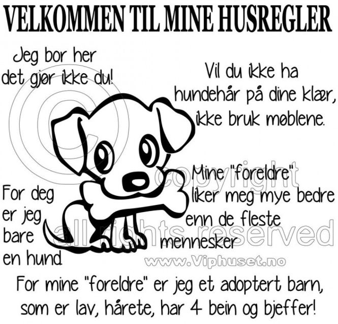 Hovedbilde Velkommen til mine husregler ...