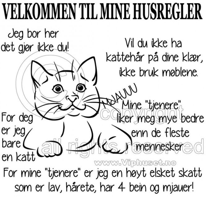 Hovedbilde Velkommen til mine husregler ...