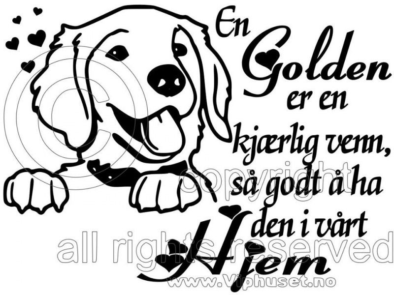 En golden er en kjærlig venn