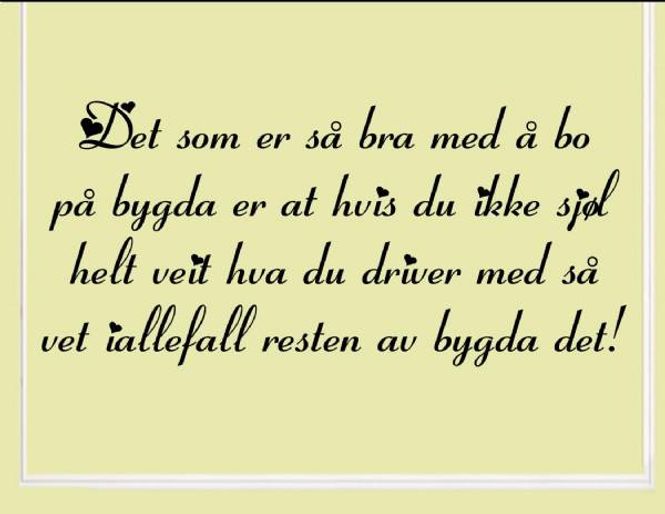 Hovedbilde Det som er så bra