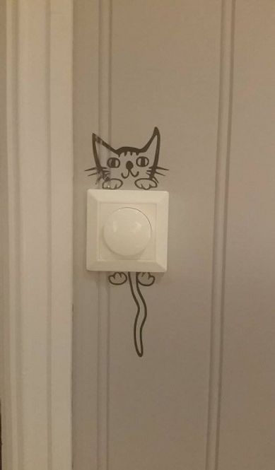 Hovedbilde Katt til lysbryter