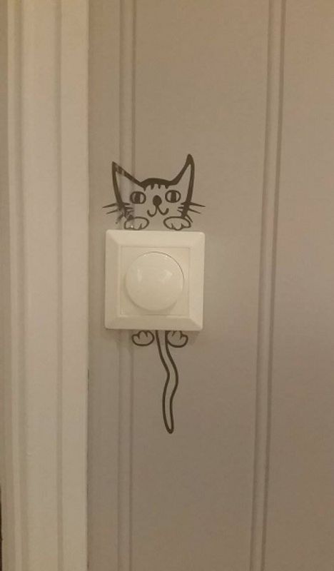 Katt til lysbryter