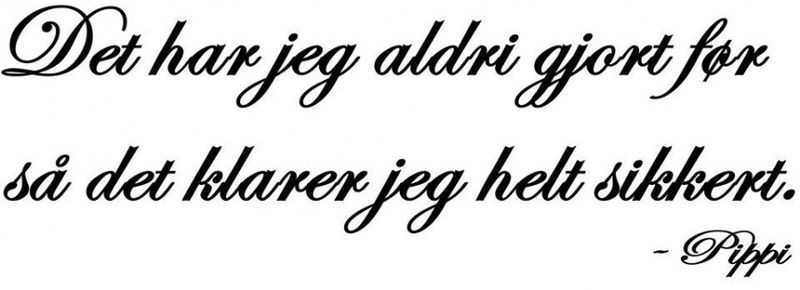 Det har jeg aldri gjort før 2