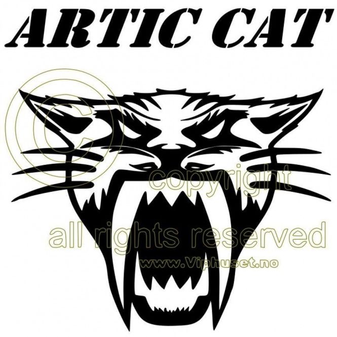 Hovedbilde Artic cat