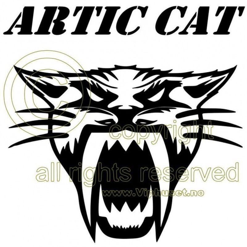 Artic cat
