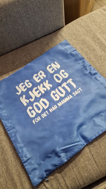 Hovedbilde Putetrekk jeg er en kjekk blå
