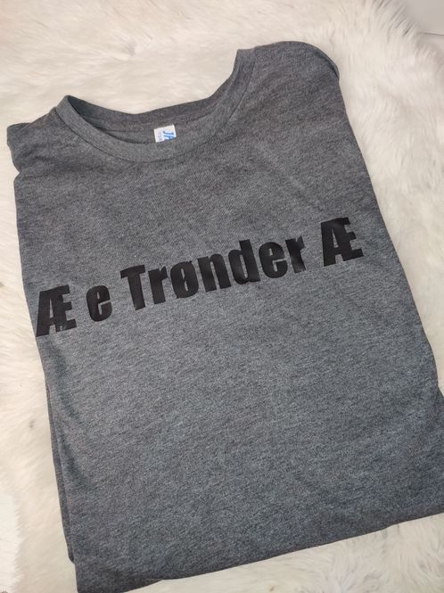Hovedbilde Æ e trønder æ