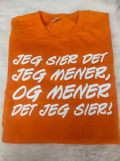 Hovedbilde jeg sier det jeg mener