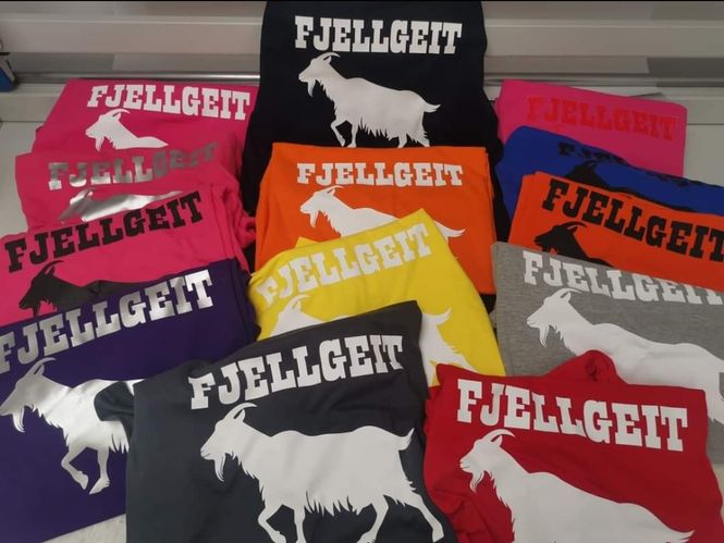 Hovedbilde Fjellgeit 